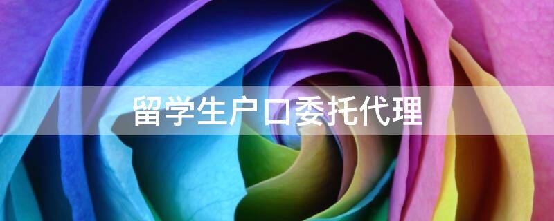 留学生落户落在上海什么区（关于留学生落户上海的条件是什么）