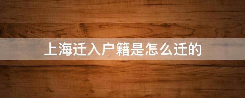 20230509_112845_047.jpg